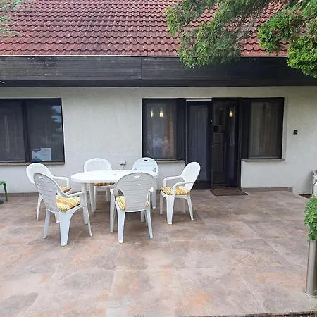 In - Balaton 43129 *