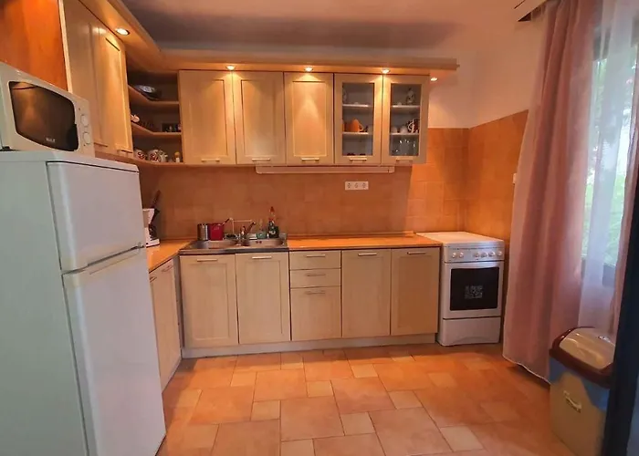 In - Balaton 43129 *